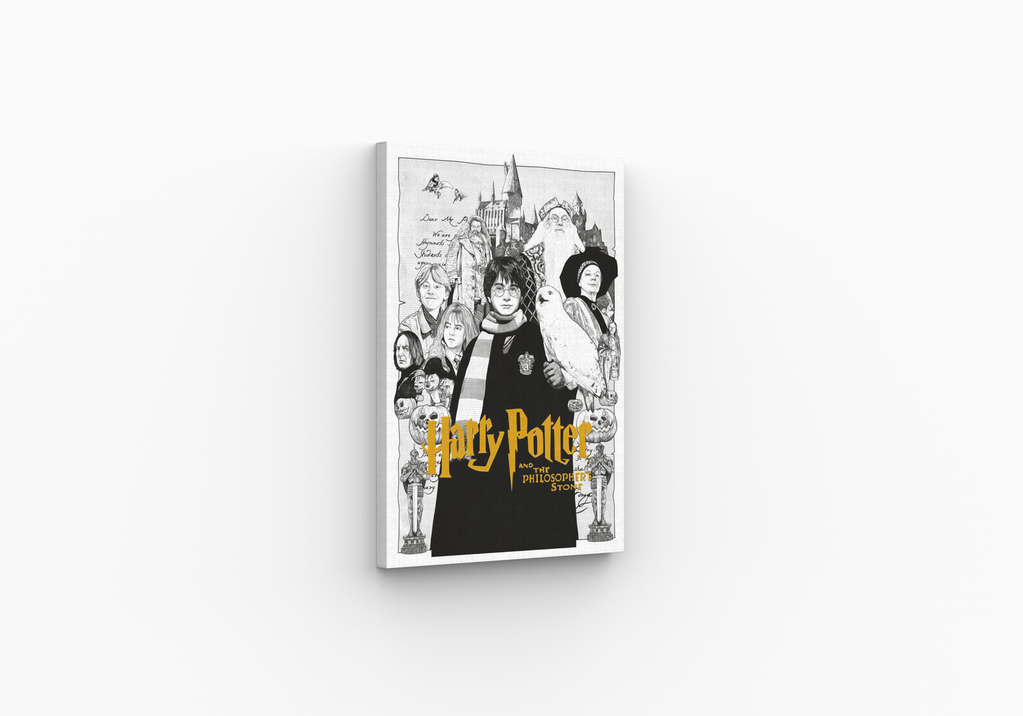 Harry Potter Kanvas Tablo