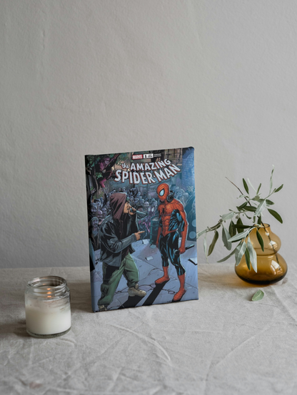 Spiderman ve Eminem Düet Kanvas Tablo